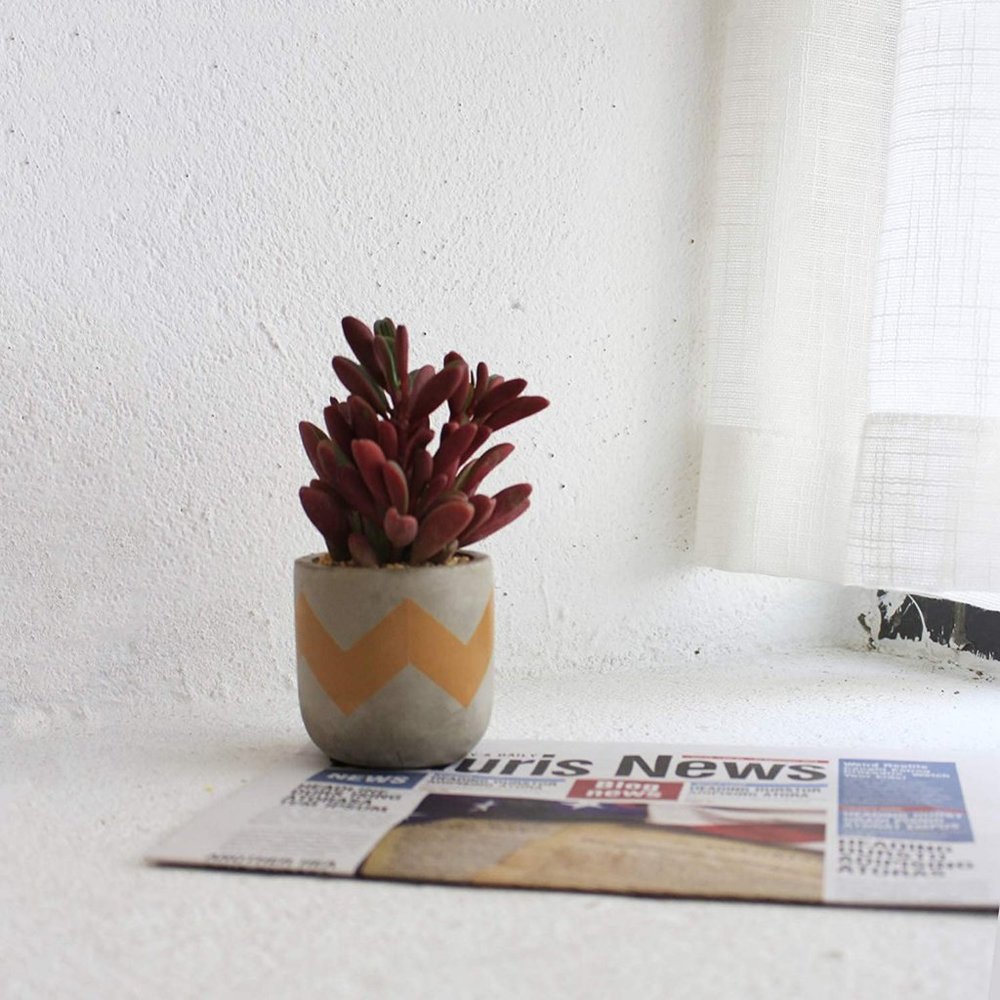 🌻NEW🌻 Modern Farmhouse Succulent Plant Pots - Picture 7 of 8